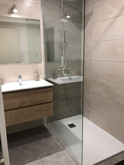 Appartement Moderne & Lumineux 40M2 Centre Luxeuil Extérieur photo