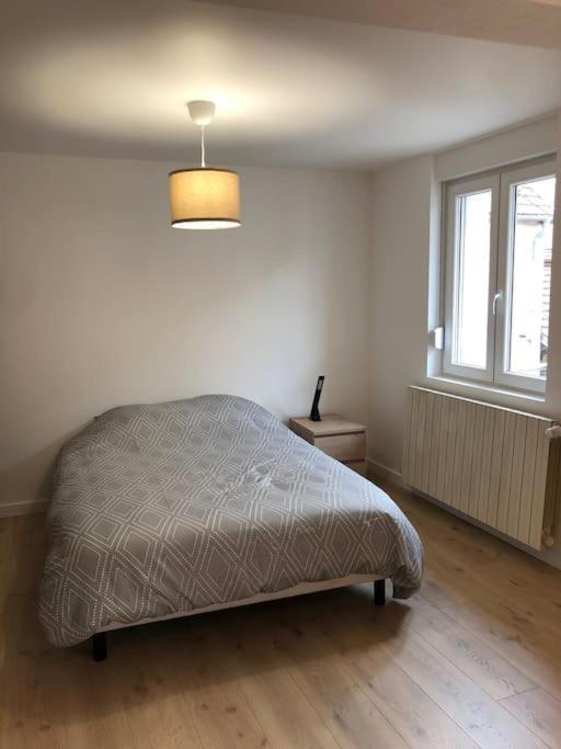Appartement Moderne & Lumineux 40M2 Centre Luxeuil Extérieur photo